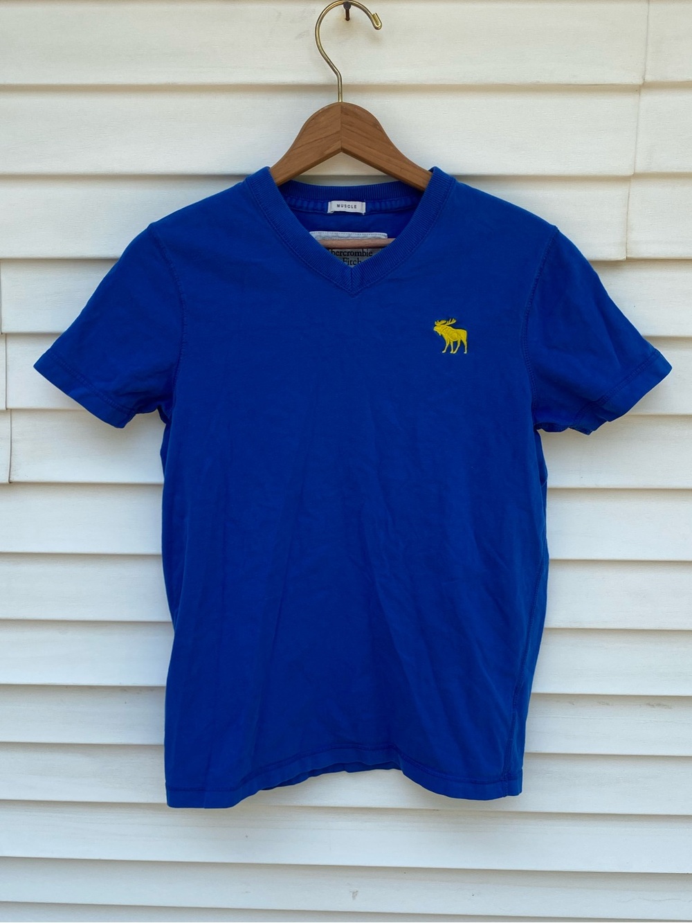 Vintage Abercrombie & Fitch Moose V-Neck Tee - S Royal Blue Y2K Muscle Fit